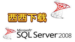 sql server